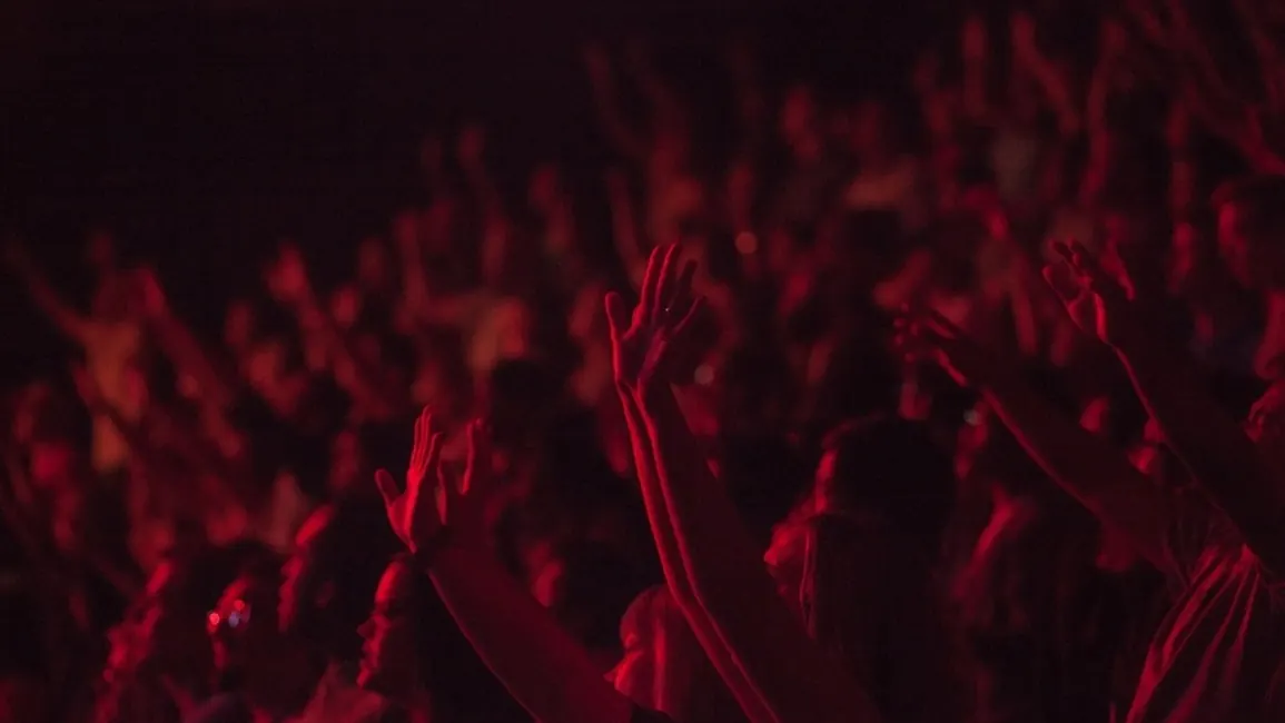 Público em um show