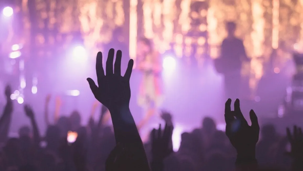 Público em um show